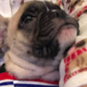 Meet your Posher, Mariely